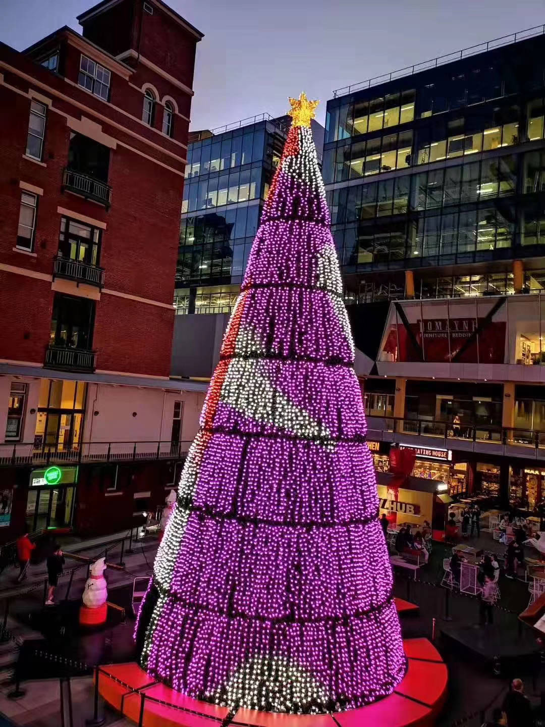 A festão programável do pixel do brilho alto DC12V WS2811 conduziu luzes da árvore de Natal do RGB